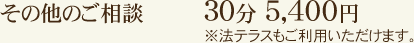 その他のご相談:30分 5,400円 ※法テラスもご利用いただけます。
